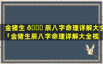 金猪生 🐈 辰八字命理详解大全「金猪生辰八字命理详解大全视 🌳 频」